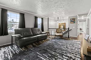 Living area featuring crown molding, a textured ceiling, dark wood finished floors, and a chandelier