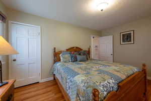 Bedroom featuring light wood finished floors and a textured ceiling