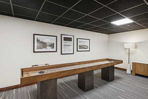 Game room featuring dark colored carpet and a drop ceiling