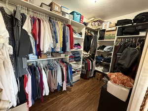 Spacious closet featuring dark wood-type flooring