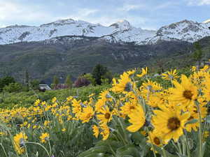 View of mountain background