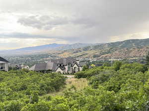 View of mountain background with a tree filled landscape