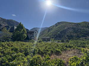 View of mountain background
