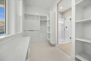 Spacious closet featuring light carpet