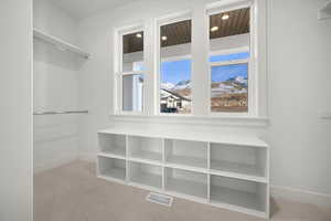 Spacious closet with light carpet