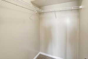 Walk in closet featuring carpet