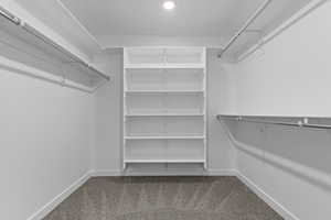 Spacious closet with light carpet