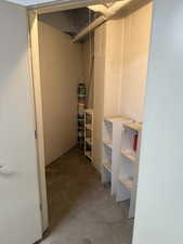 View of storage closet in garage