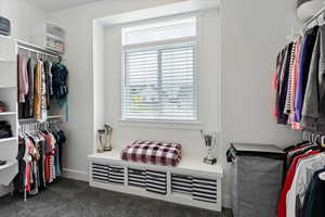 Walk in closet with dark carpet