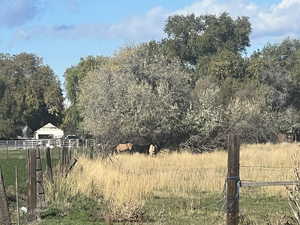View of tree filled area featuring a view of countryside