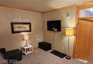 Sitting room with crown molding and carpet