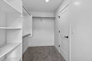 Walk in closet with dark colored carpet