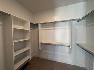 Spacious closet featuring dark colored carpet