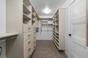 Spacious closet featuring dark colored carpet