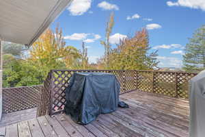 Wooden terrace featuring a grill and washer / dryer