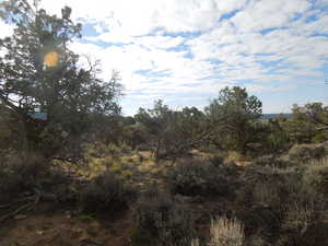 View of undeveloped land