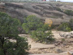 Aerial view of property's location