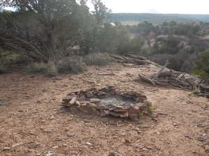 View of local wilderness