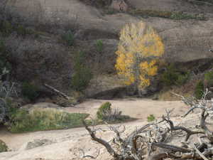 View of mountain background