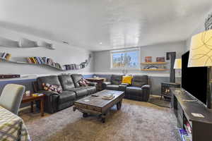 Living area featuring a wood stove, carpet floors, and a textured ceiling
