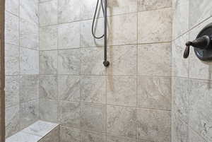 Bathroom view of tiled walk-in shower