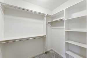 Walk in closet with light carpet