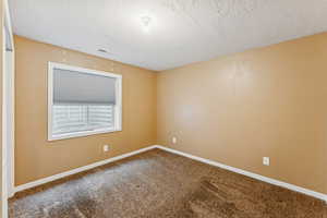 Spare room with carpet floors and a textured ceiling