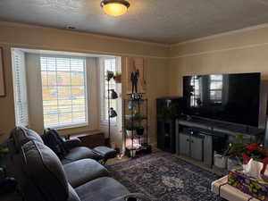 Carpeted living room featuring a textured ceiling and ornamental molding