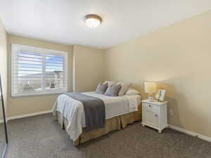 Bedroom with dark colored carpet