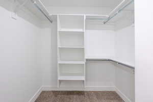 Walk in closet with light colored carpet