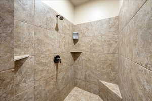 Bathroom view of tiled shower