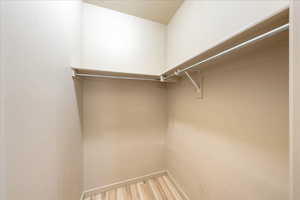 Spacious closet with light wood finished floors