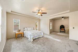 Bedroom with a raised ceiling, carpet, multiple windows, and a textured ceiling