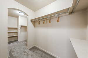 Spacious closet featuring light carpet and arched walkways