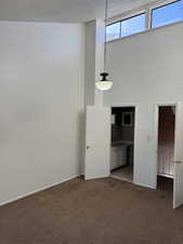 Master bedroom with light colored carpet, a textured ceiling, and a high ceiling