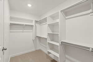 Walk in closet with light colored carpet