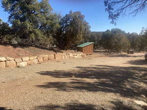 View of yard with a shed