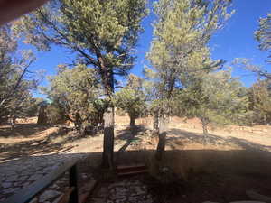 View of yard featuring a patio area