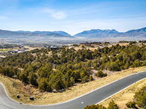 Mountain view with a tree filled landscape