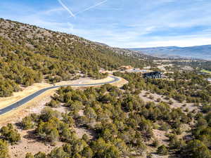 View of mountain backdrop with a forest