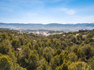 View of mountain backdrop with a heavily wooded area