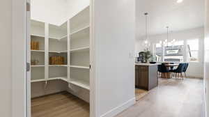 Storage area featuring a sink