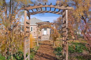 View of yard featuring a pergola