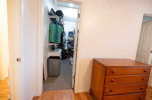 Main closet with light wood finished floors and baseboards