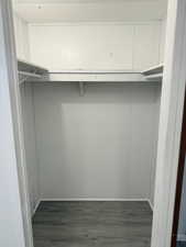 Walk in closet featuring dark wood-type flooring