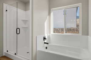 Bathroom with a garden tub and a shower stall