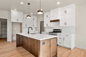 Kitchen with an island with sink, pendant lighting, decorative backsplash, white cabinetry, and light wood-type flooring