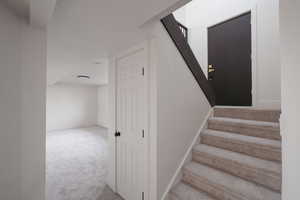 Stairs featuring carpet floors and baseboards
