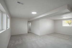 Basement Family Room