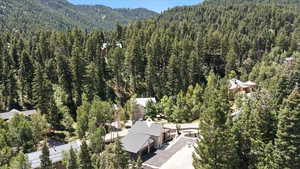 Aerial view of property's location with a forest and a mountainous background